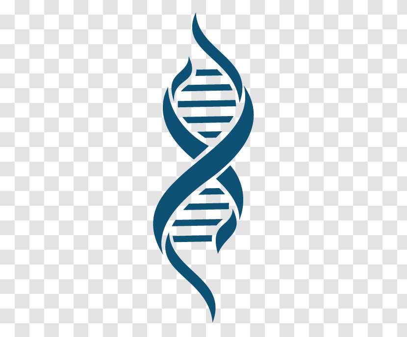 Clip Art DNA Image Download - Biology - Dna Transparent PNG