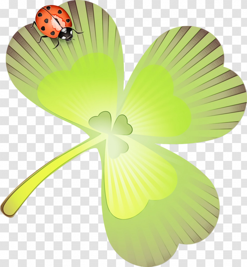 Green Leaf Butterfly Yellow Plant Transparent PNG