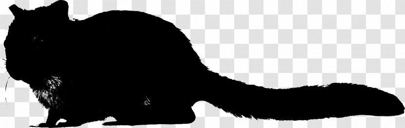 Whiskers Cat Dog Canidae Mammal - Black Transparent PNG