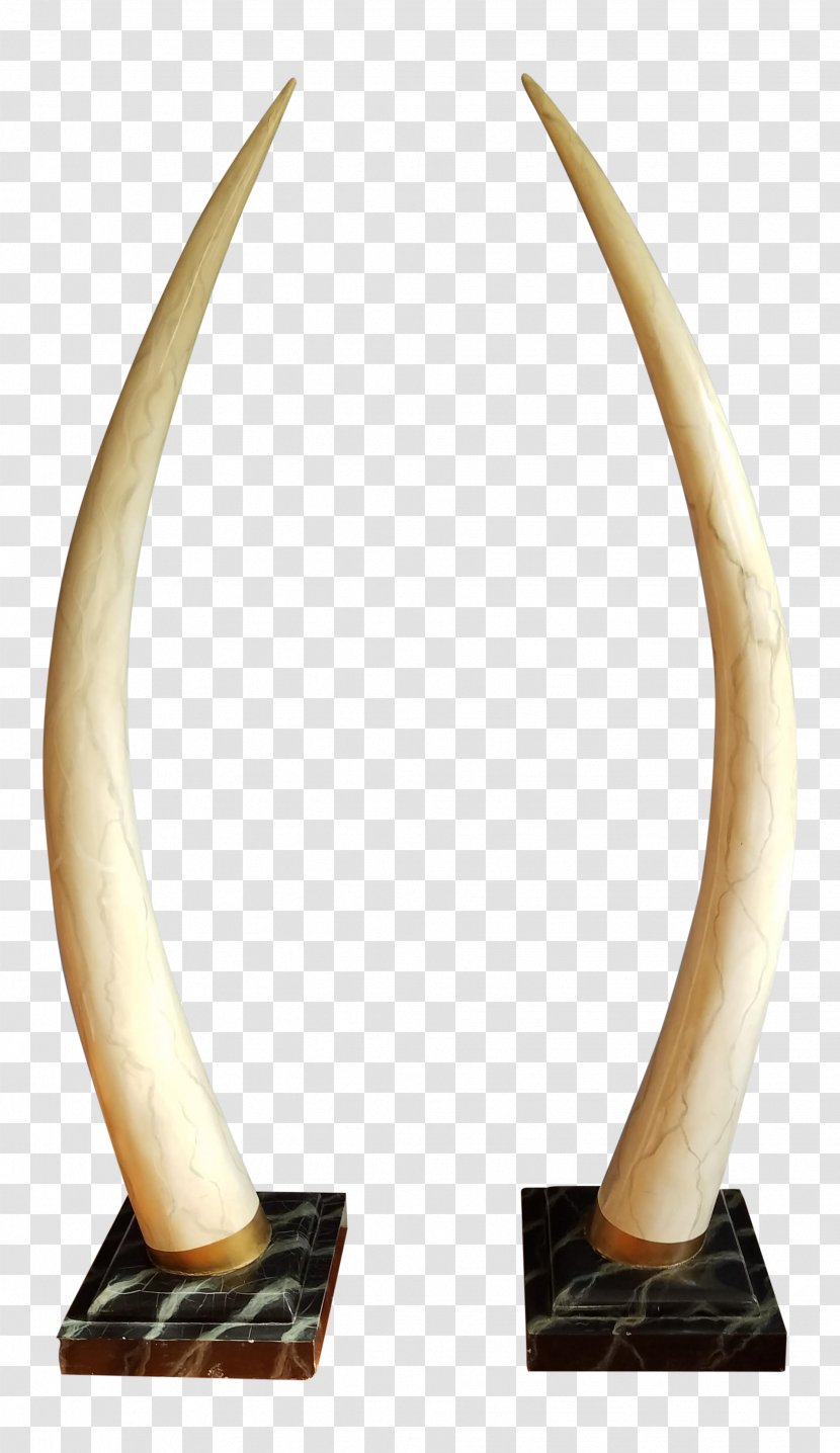Ivory Tusk Elephant Horn Chairish Transparent PNG
