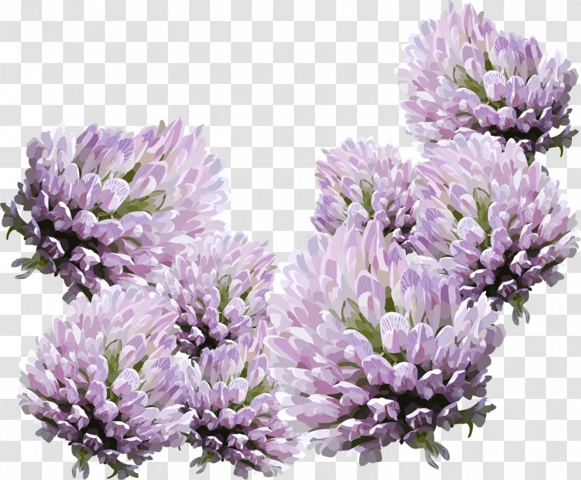 Flower Home Page Email Clip Art - Spring - Lavender Transparent PNG