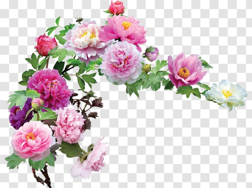 Flower Garden Roses Clip Art - Petal - Hortensia Transparent PNG