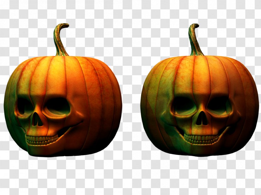 Pumpkin Halloween Jack-o'-lantern Calabaza Cucurbita Transparent PNG