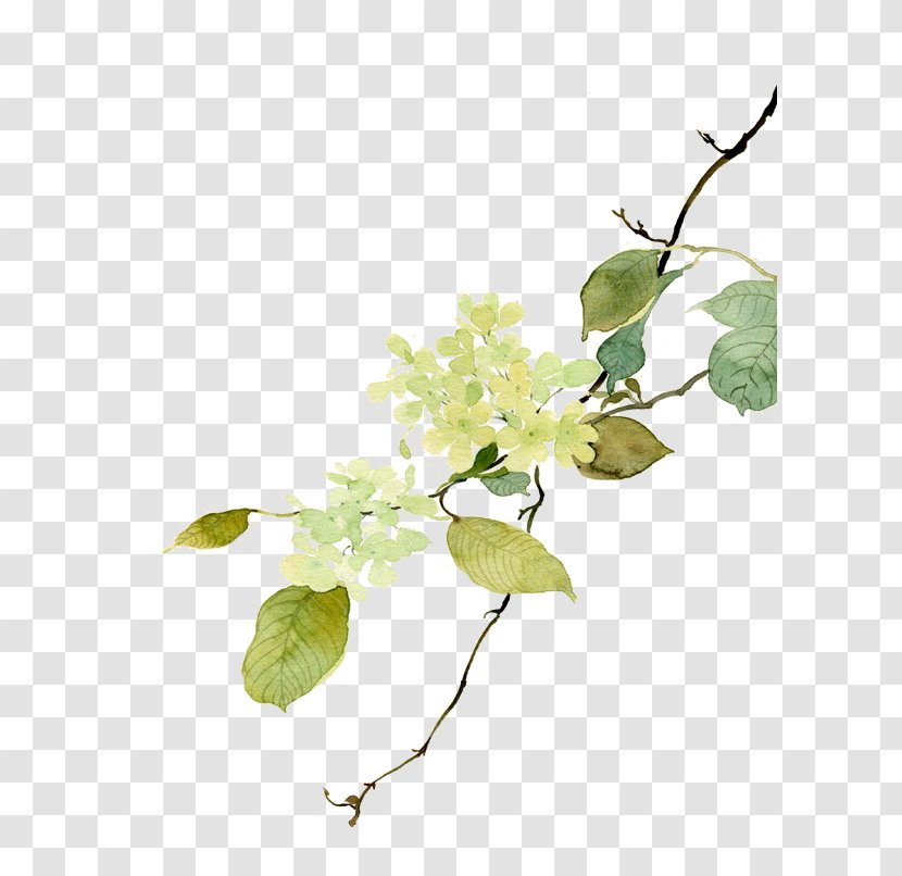 Drawing - Tree - Green Flowers Transparent PNG