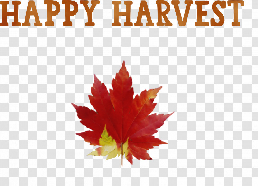 Leaf Drawing Season Autumn Text Transparent PNG