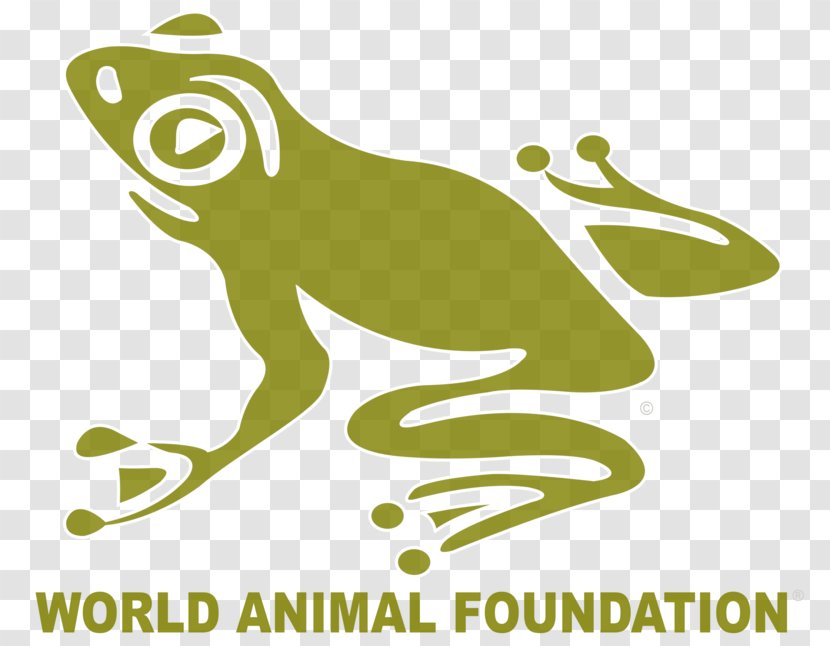 Non-profit Organisation Organization Animal Welfare World Protection - Charitable - Forset Cabin Transparent PNG