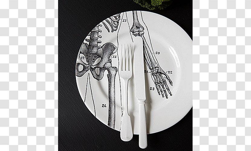 Plate Human Skeleton Bone China Anatomy Transparent PNG