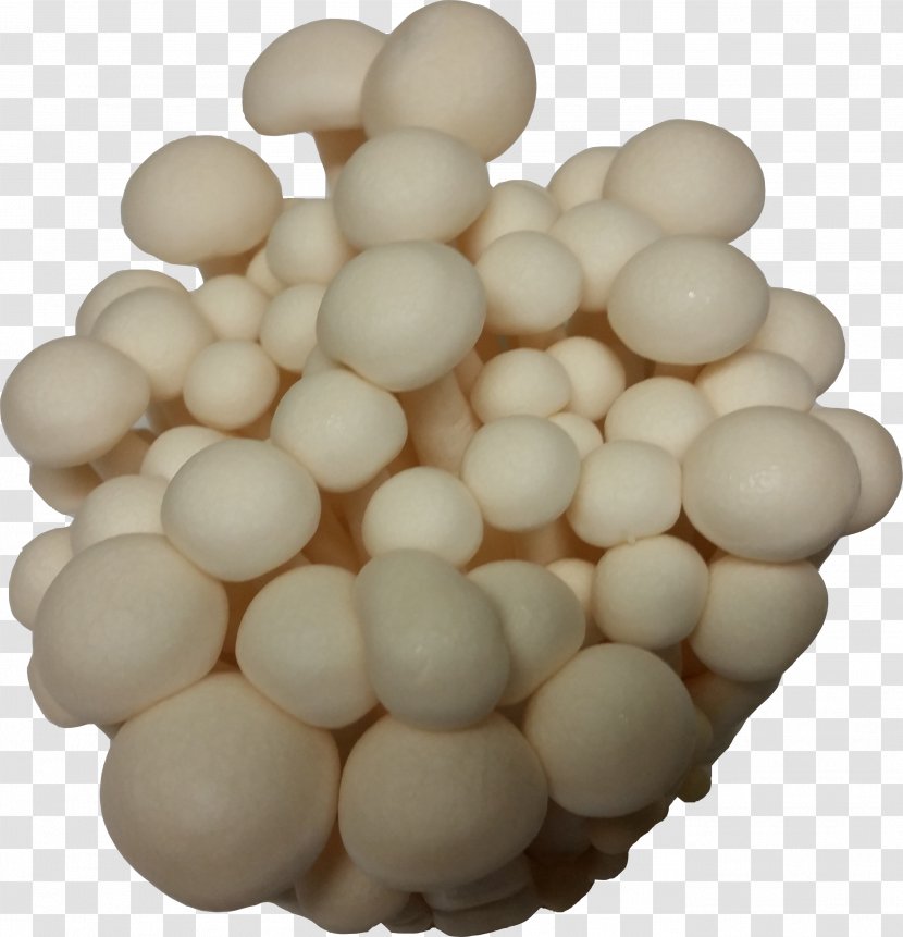 Ingredient Egg - Mushroom Transparent PNG
