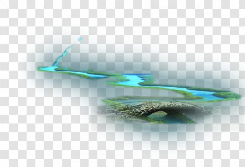 Water Feather Close-up Transparent PNG