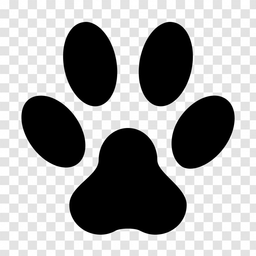 Dog Cat Puppy Animal Shelter Pet - Track - Footprint Transparent PNG