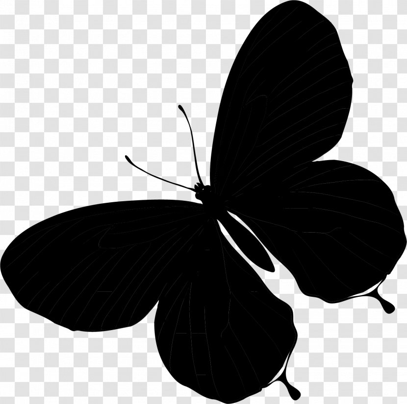 Silhouette Black M - Flower - Moths And Butterflies Transparent PNG