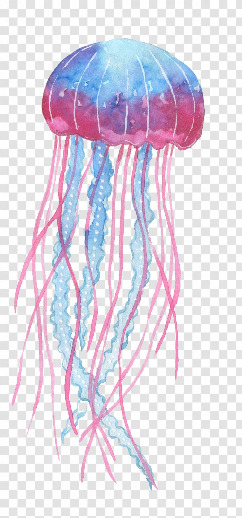Box Jellyfish Ocean - Computer Software - Blue Pink Transparent PNG
