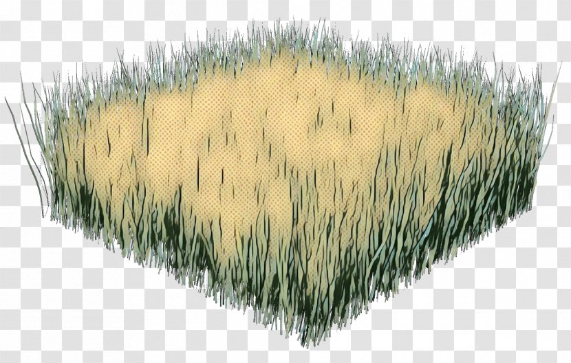 Green Grass Background - Fur - Feather Transparent PNG