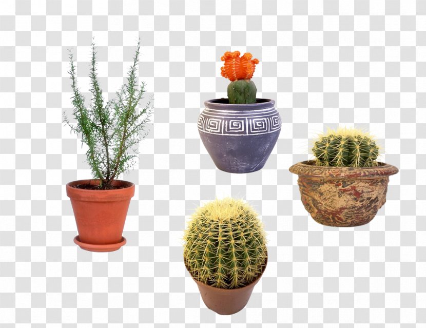 Barbecue Flowerpot Bonsai Houseplant - Potted B Transparent PNG