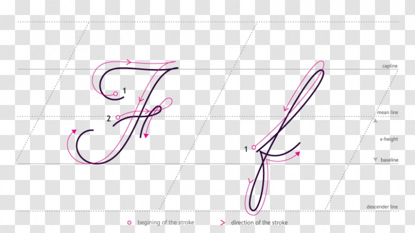 Brand Logo Line Number - Cartoon - Cursive Script Transparent PNG