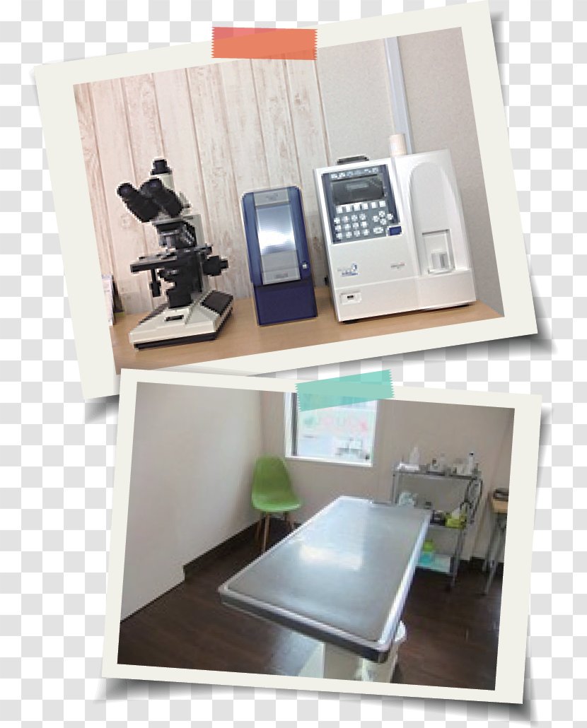 Kuku (CoUCoU) Pet Clinic Therapy Nakanoshima Hospital Preventive Healthcare - Furniture - Substitute Transparent PNG
