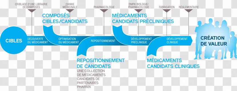 Pharmaceutical Drug Création Des Médicaments Target Market Product Life-cycle Management Therapy - Blue - Business Transparent PNG