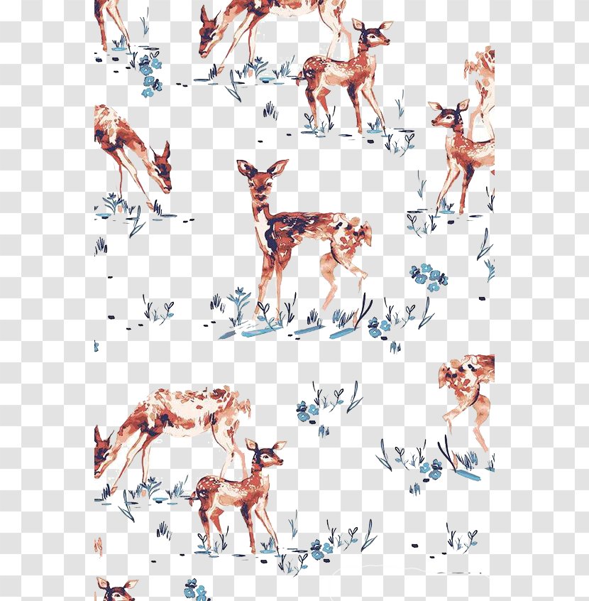 Deer Macintosh MacBook Air Paper Wallpaper - Horse Like Mammal - Grass Transparent PNG