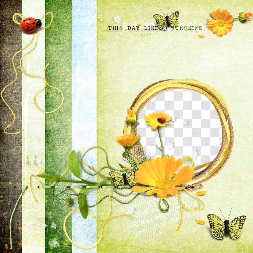 Butterfly Picture Frame Drawing - Window - Flowers And Butterflies Ladybug Transparent PNG