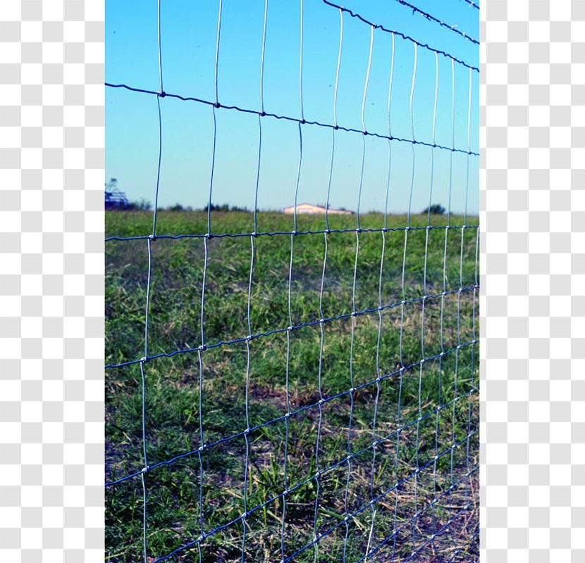 Fence Chain-link Fencing Wire Gauge Barbed - Shrub Transparent PNG