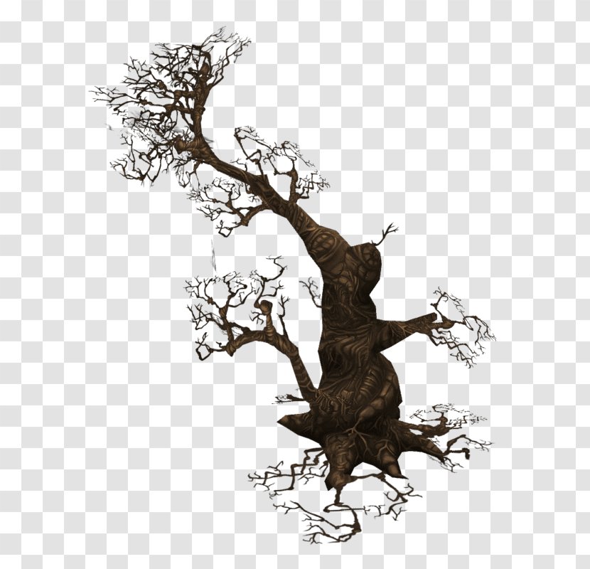 Branch Concept Art Drawing Illustration - Plant - Dead Tree Material Transparent PNG