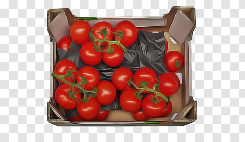 Potato Cartoon - Onken - Cherry Nightshade Family Transparent PNG