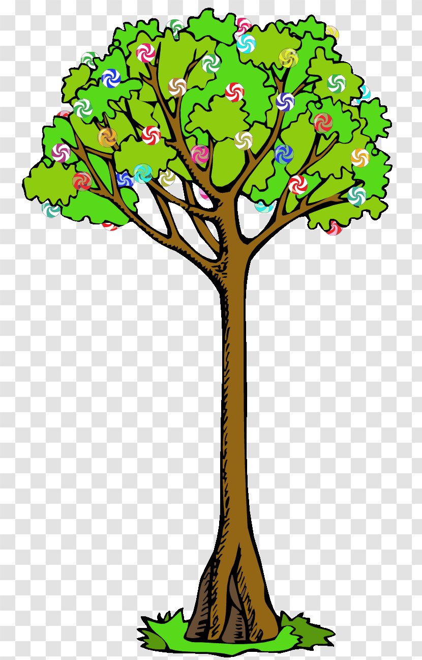 Clip Art Branch Tree Tāne Mahuta Image - Child - Tutti Frutti Transparent PNG