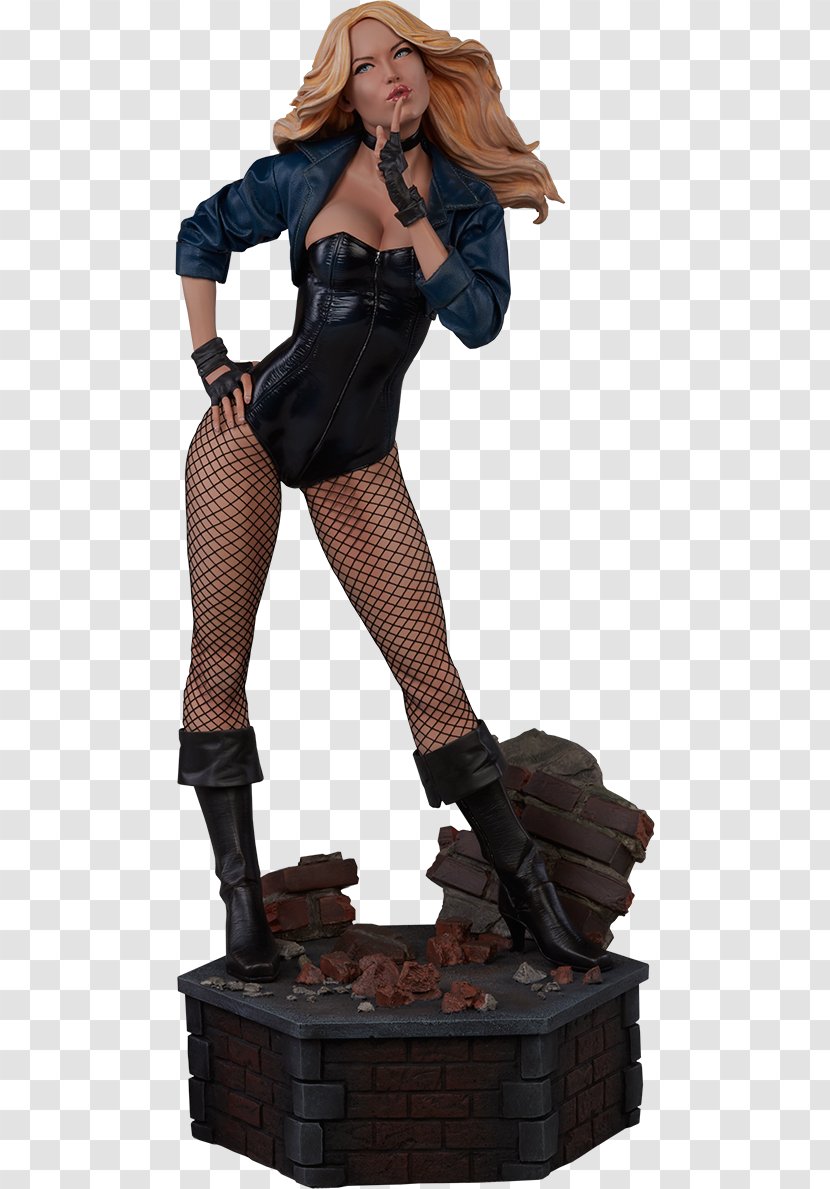 Black Canary Catwoman Green Arrow Sideshow Collectibles - Cartoon Transparent PNG