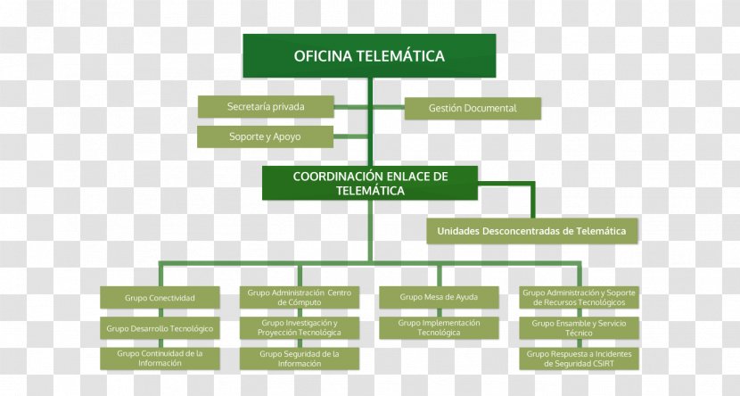 Organizational Chart Office Business Administration Police - Empresario Transparent PNG