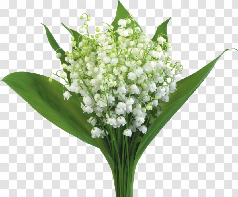 Flower Bouquet Clip Art - Mother S Day - Lily Of The Valley Transparent PNG