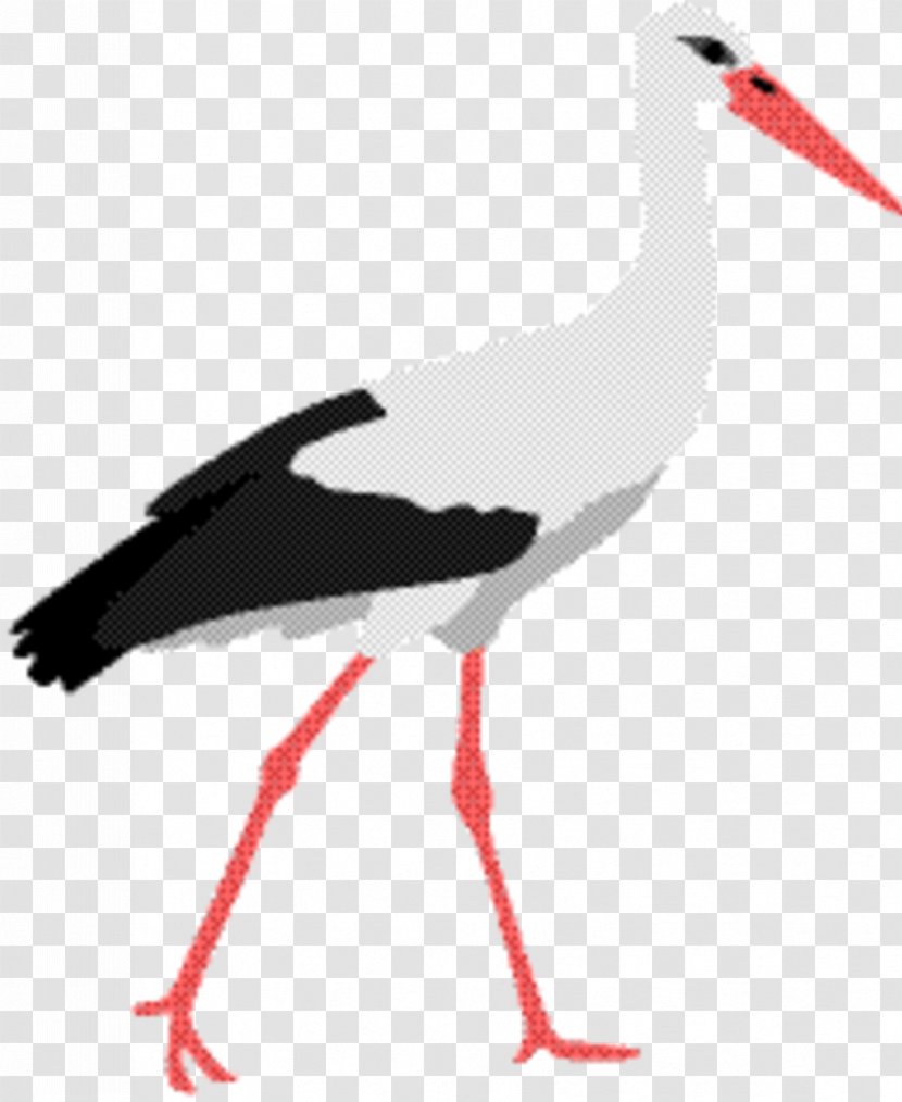 Crane Bird - Goose - Whooping Transparent PNG