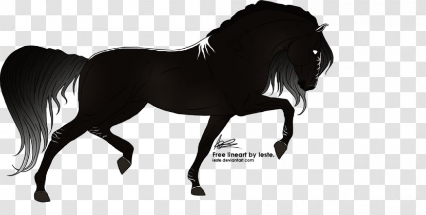 Mane Mustang Stallion Mare Bridle - Horse Tack - Fantasy Transparent PNG