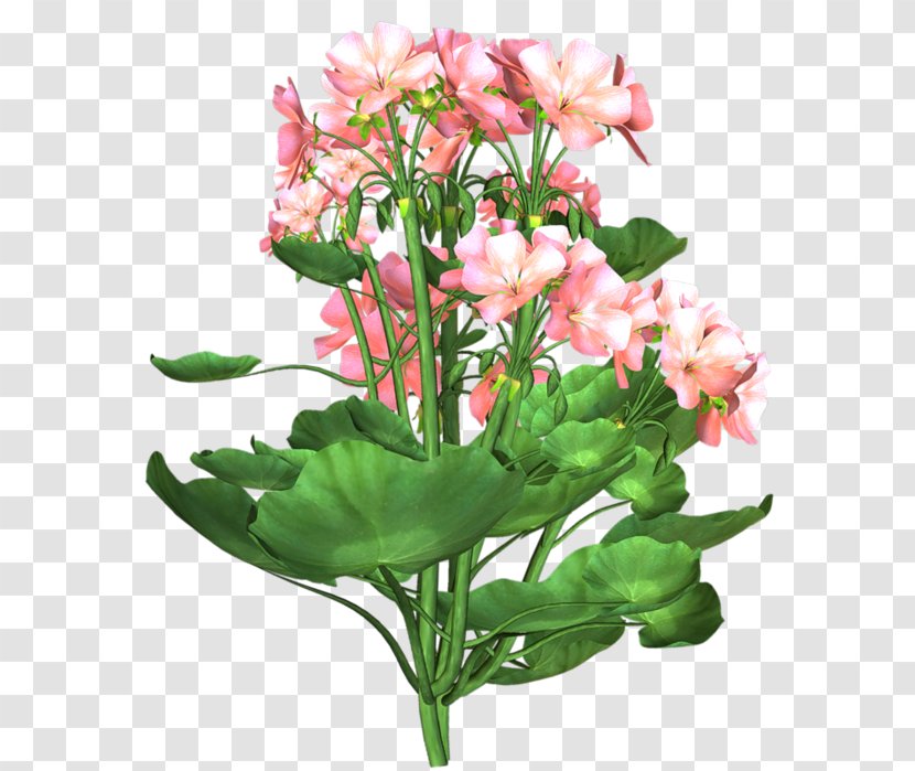 Floral Design Cut Flowers Lily Of The Incas Flower Bouquet Transparent PNG