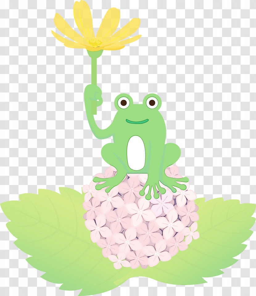 Frogs Tree Frog Cartoon Green Science Transparent PNG