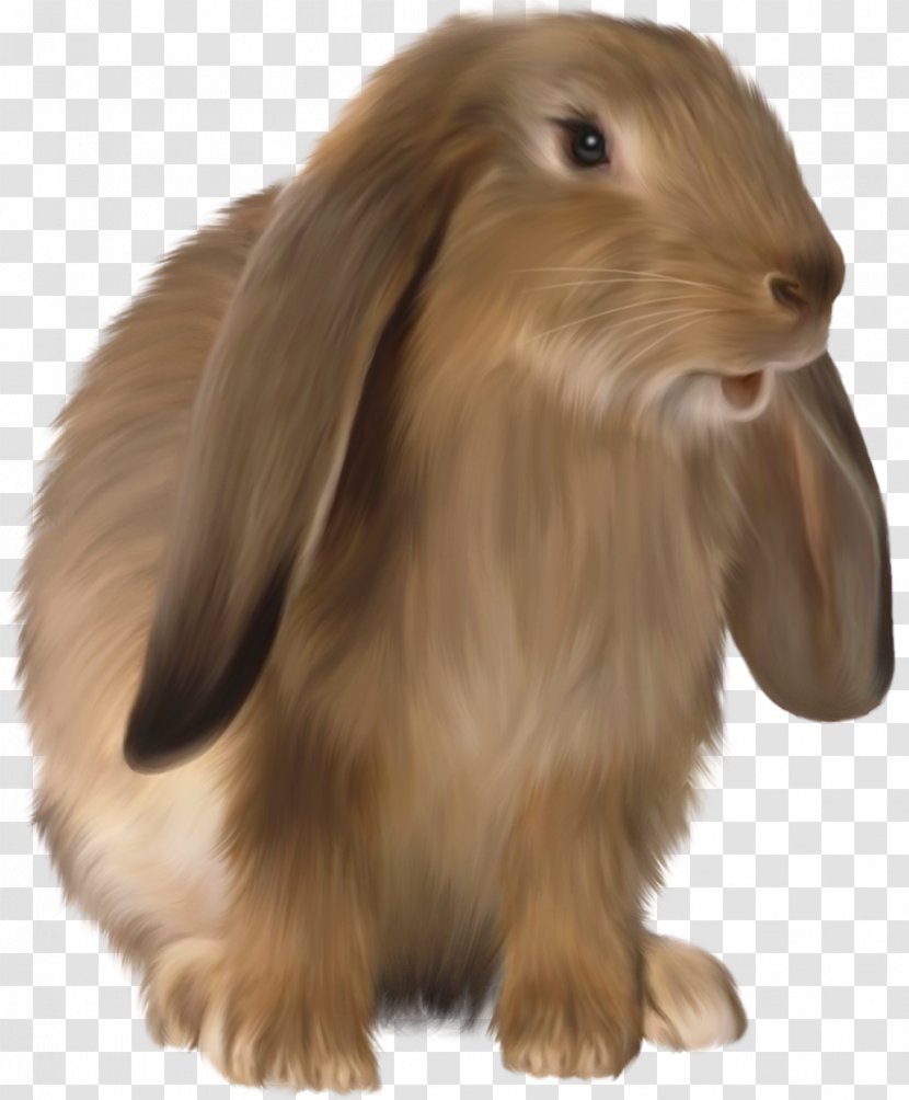 Rabbit Clip Art - Dog Breed - Cute Brown Bunny Picture Transparent PNG