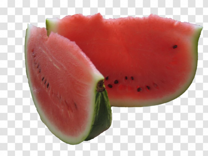 Watermelon Cucurbitaceae Gourd - Citrullus Transparent PNG