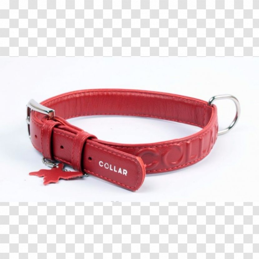 Dog Collar Clothing Accessories - Red Transparent PNG