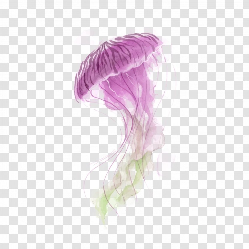 Jellyfish Watercolor Painting Vector Graphics Canvas - Violet Transparent PNG