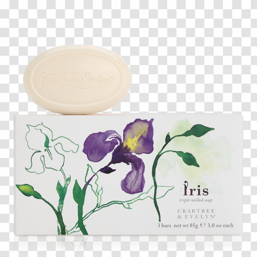 Lotion Shower Gel Cosmetics Soap Cream - Wheat Fealds Transparent PNG