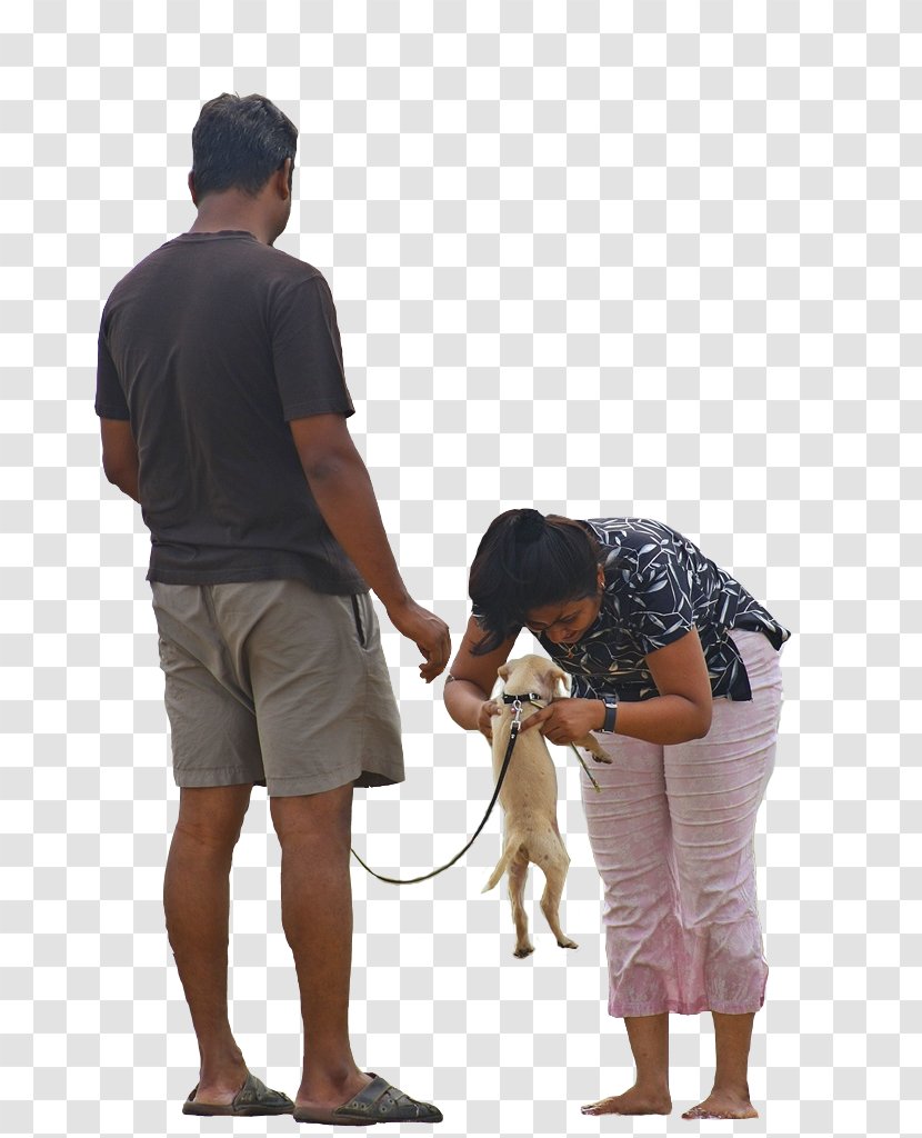 Walking Photography - Human Behavior - Yoga Dogs Transparent PNG