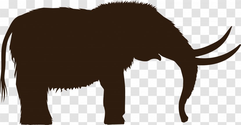 Woolly Mammoth Drawing Mastodon Clip Art - Wildlife - Elephants Transparent PNG