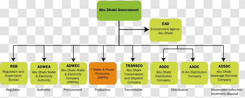 Brand Organization Diagram - Design Transparent PNG