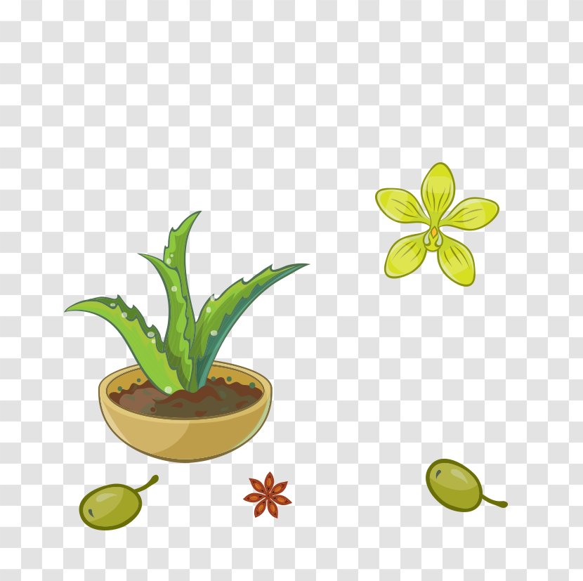 Aloe Vera Green Plant Flowerpot - Succulent Transparent PNG