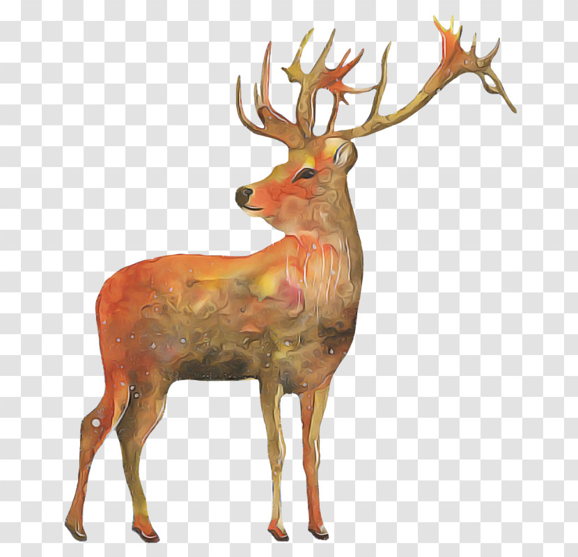 Reindeer Transparent PNG