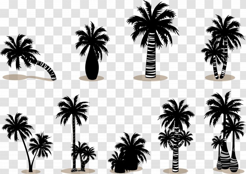 Arecaceae Silhouette - Palm Tree - Coconut Vector Transparent PNG