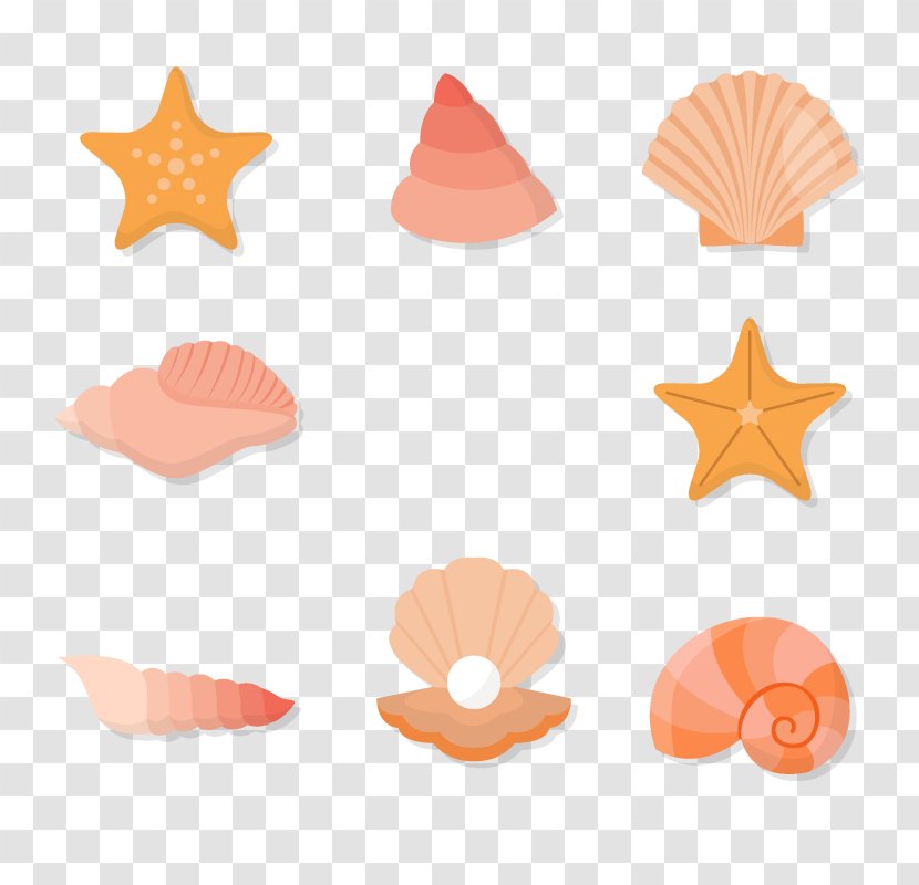 Seashell Euclidean Vector Download - Starfish Seashells Transparent PNG