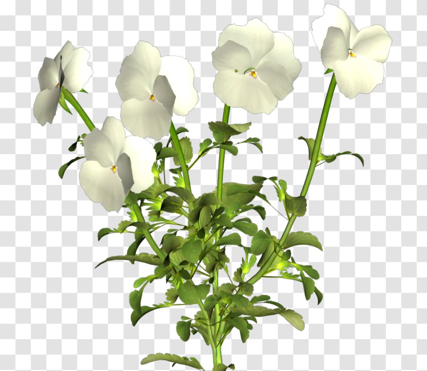 Cut Flowers Pansy Clip Art - Flowering Plant - Flower Transparent PNG