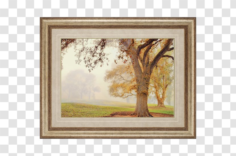 Watercolor Painting Picture Frames House Wall Transparent PNG