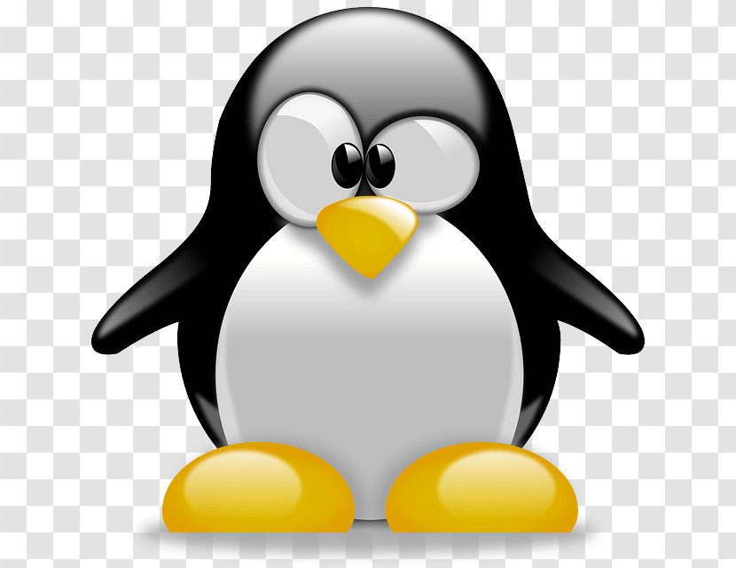 Penguin Cartoon Clip Art - Bird - Linux Logo Transparent PNG