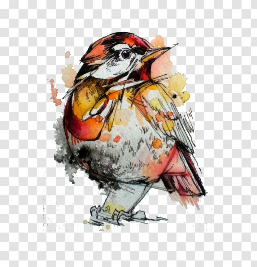 Watercolor Painting Drawing Artist - Portrait - Colored Sparrow Transparent PNG
